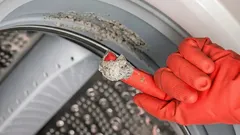 市販品よりよく落ちる洗濯機の掃除法。必要なのはたった1つの材料だけ