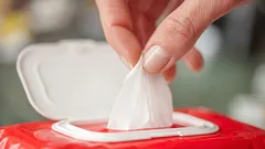 消毒用ワイプで絶対に掃除してはいけないもの：専門家が挙げた8つのアイテム