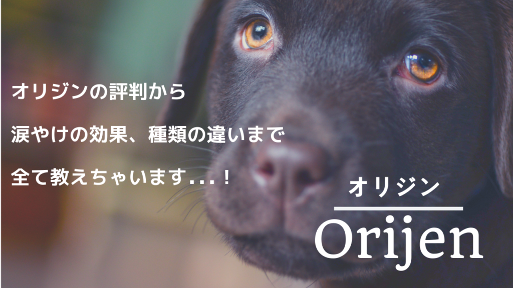 オリジンドッグフードの口コミ評判 涙やけの効果や種類の違いを詳しく解説 わんどき