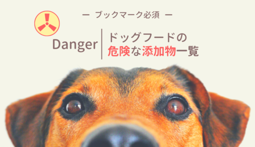 ドッグフードの危険な添加物リスト｜愛犬の影響や健康な材料も教えます