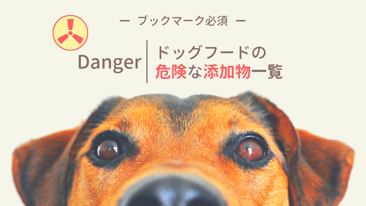 ドッグフードの危険な添加物リスト 愛犬の影響や健康な材料も教えます わんどき