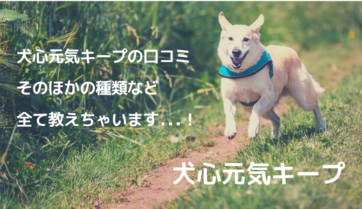 犬心元気キープの口コミは食いつきが良いと評判｜種類の違いも簡単解説