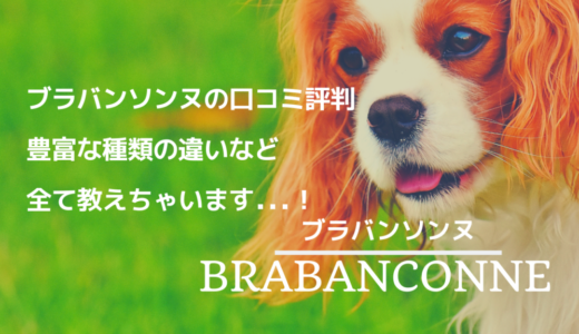 ブラバンソンヌの口コミ評判！種類豊富な商品の違いも紹介！