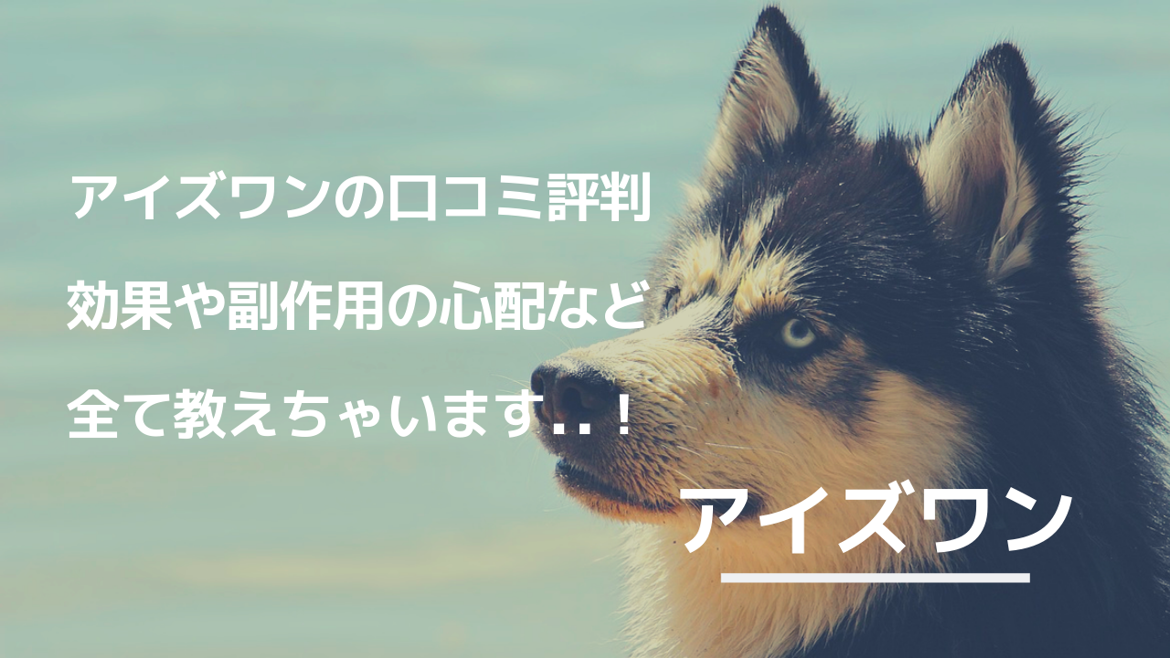 アイズワン犬用サプリの口コミ評判 目の濁りのケアにおすすめだけど副作用は わんどき