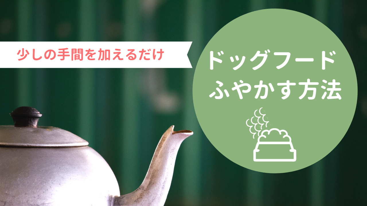 ドッグフードをふやかす最適な方法 デメリットを知って正しく与える わんどき